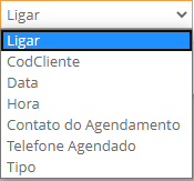 Campos de busca agendamento